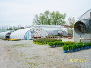 <a href="http://www.mcintoshgreenhouse.com">More Information Available at www.mcintoshgreenhouse.com</a><br><br>Fantastic opportunity on 14+/- acres just south of Goshen, IN with lots of frontage on US 33.  This property is currently zoned commercial-retail and consists of 16 greenhouses with 37,494 SF of heated growing area.  

In addition, it includes retail buildings, shop, and an approx. 1700 SF home adjacent to the business. Opportunities abound with this prime property and the second generation owners retiring and ready to consider offers.  Possible uses of this acreage is unlimited!  A Great location on a busy road, good access and paved parking for 66 vehicles.

 - 14+/- Acres Zoned Commercial-Retail